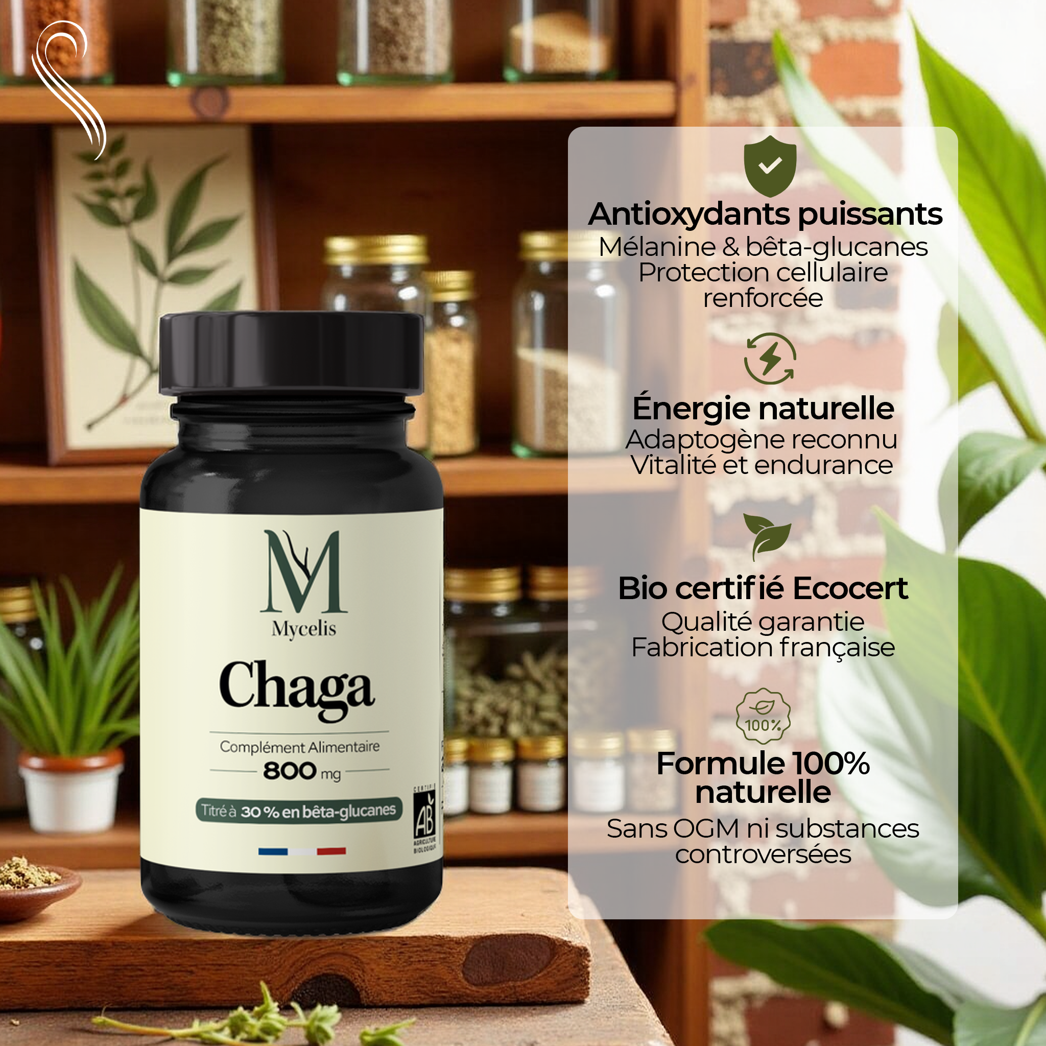 CHAGA - Champignon Bio