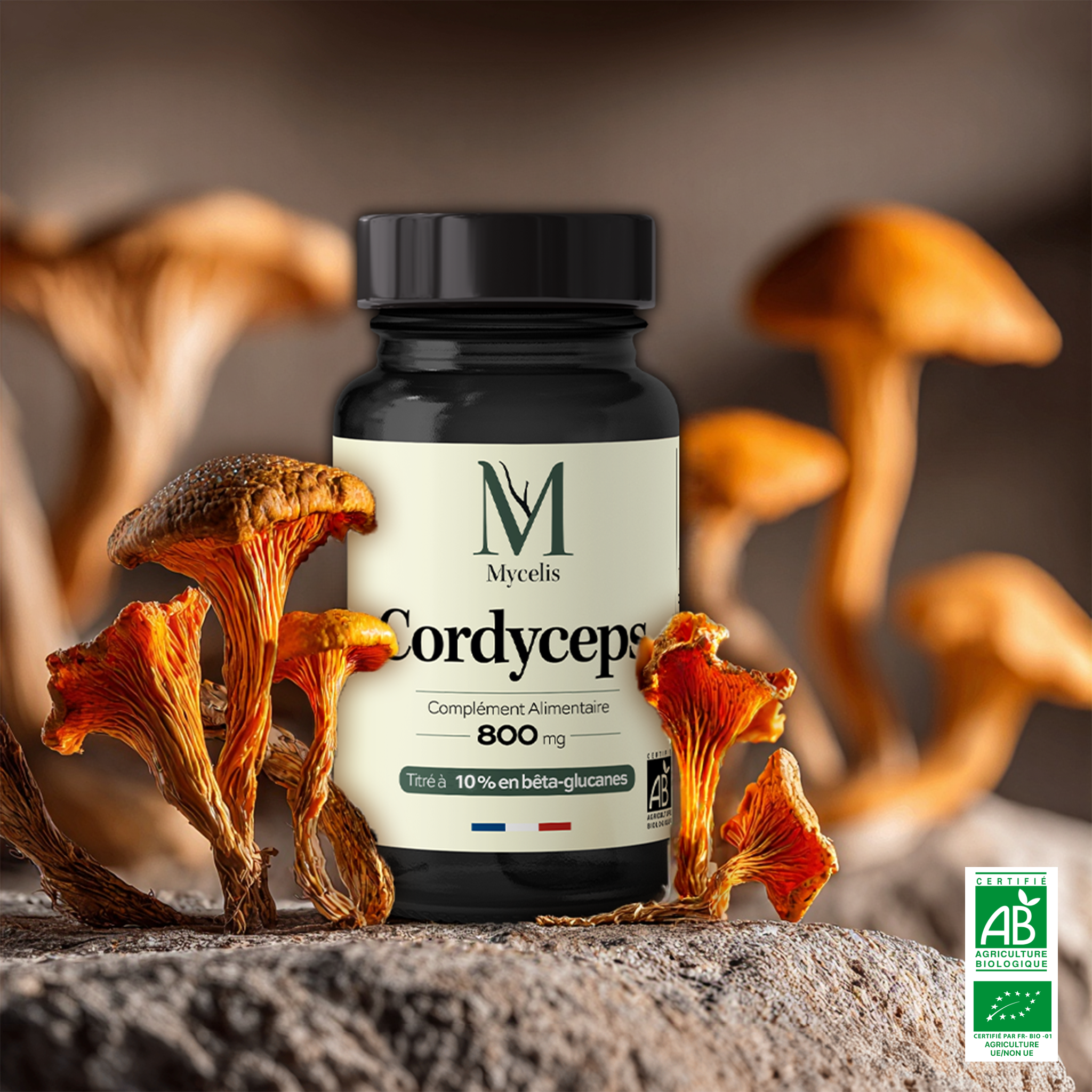 CORDYCEPS - Champignon Bio