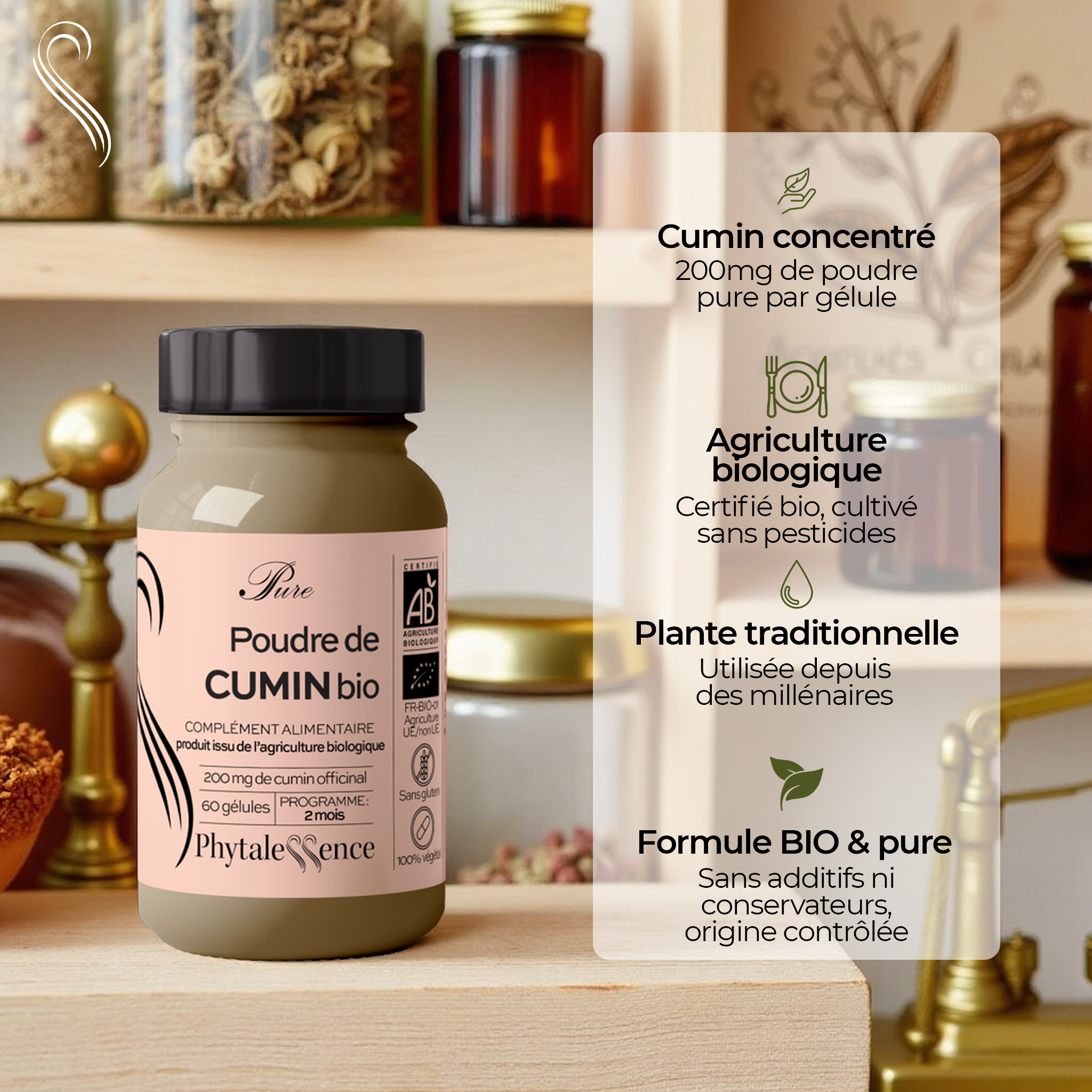 CUMIN - Mono plante Bio