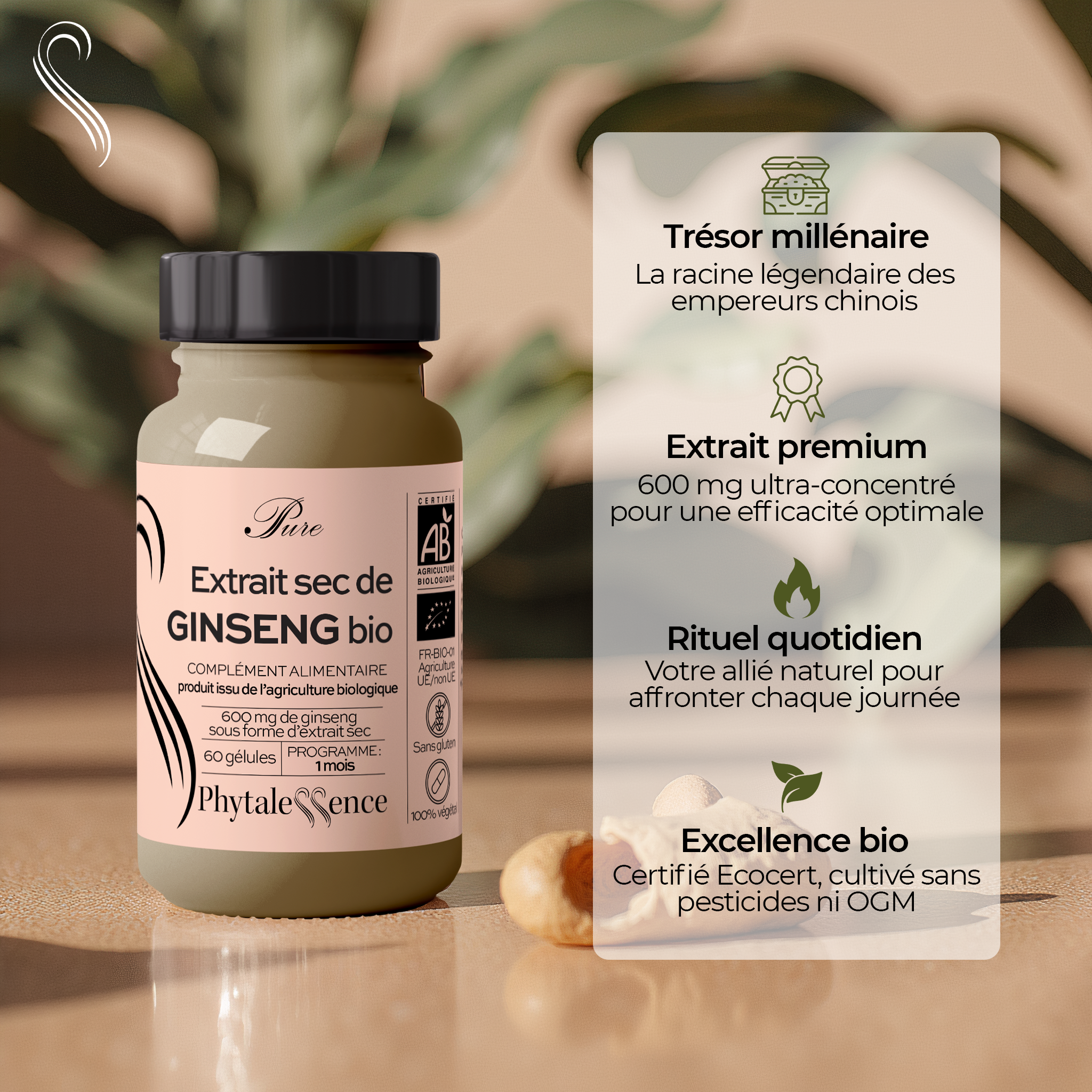 GINSENG - Mono plante Bio