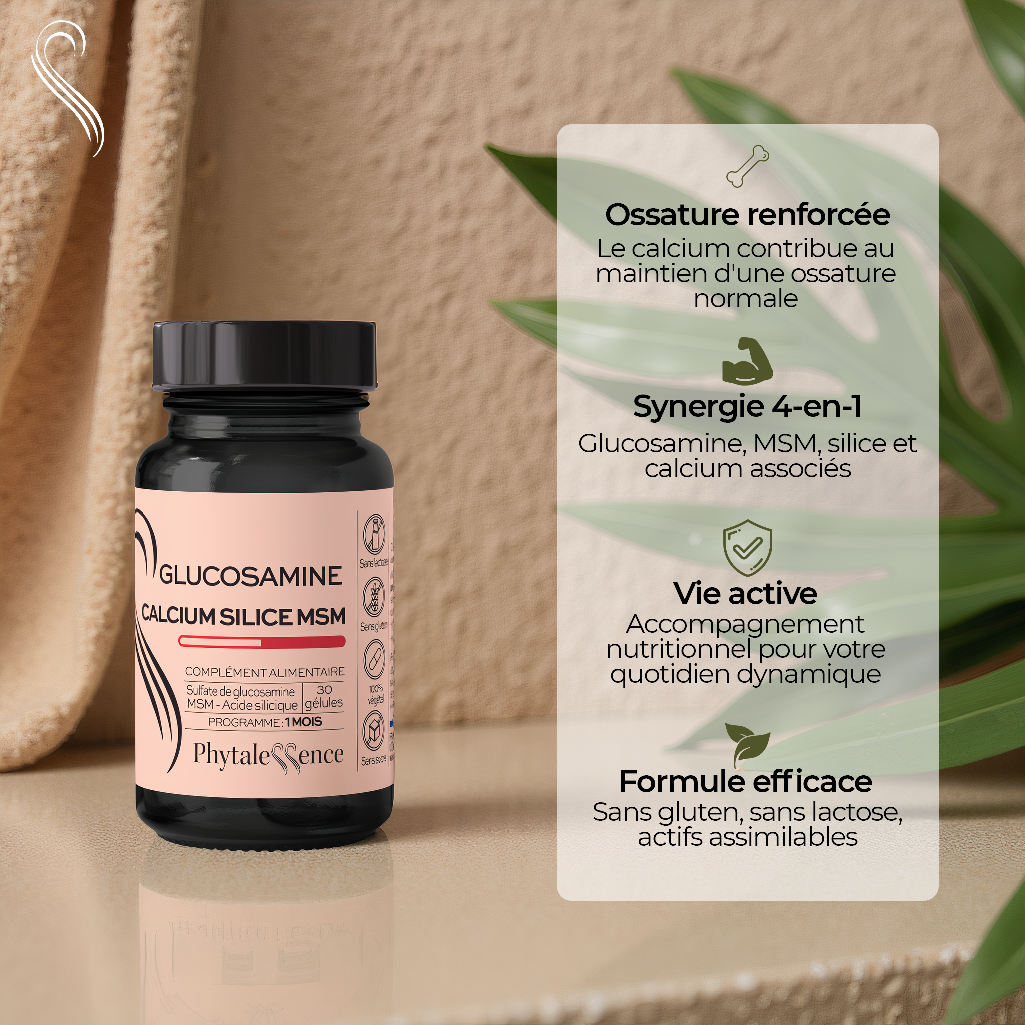 GLUCOSAMINE CALCIUM | SILICE | MSM