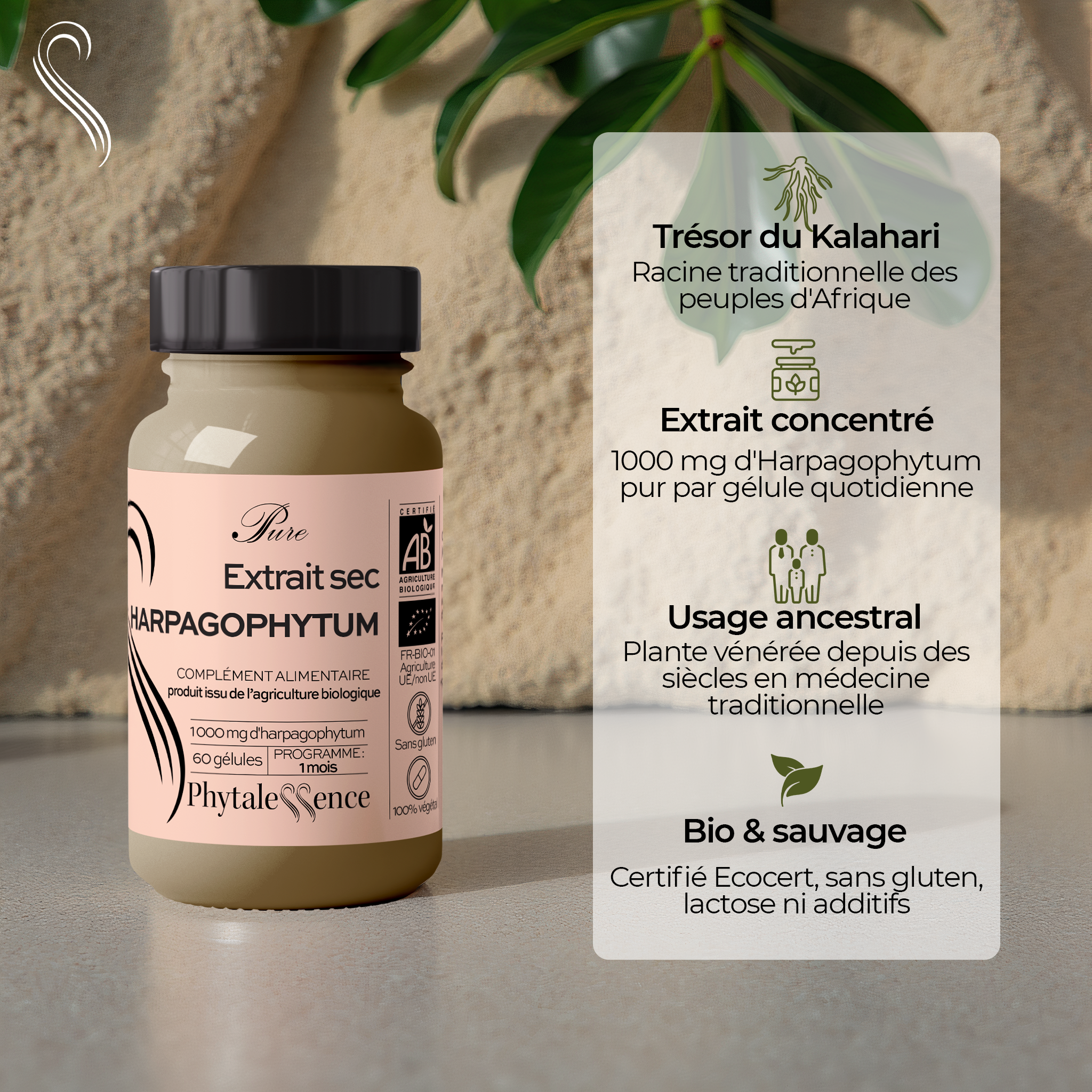 HARPAGOPHYTUM - Mono plante Bio