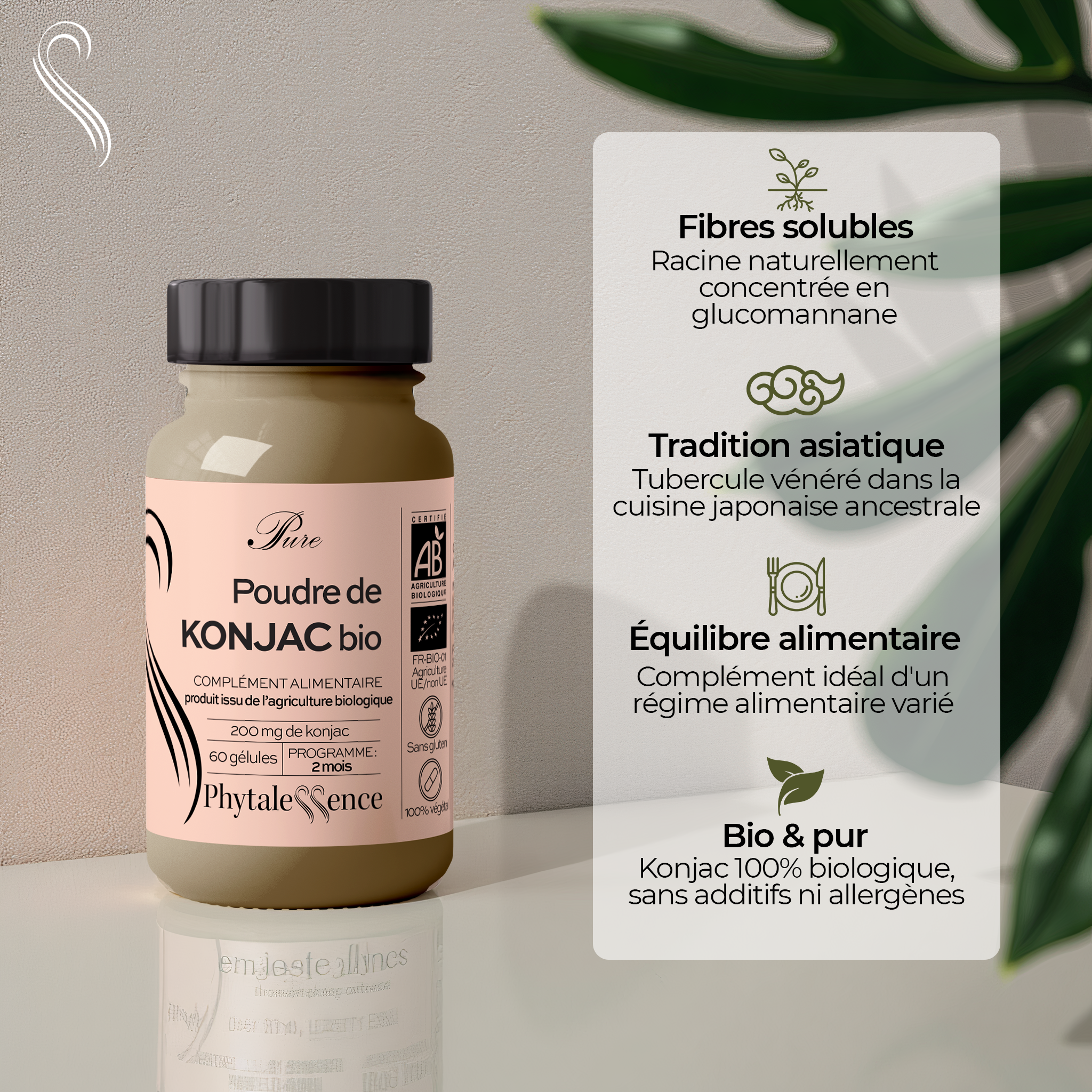 KONJAC - Mono plante Bio