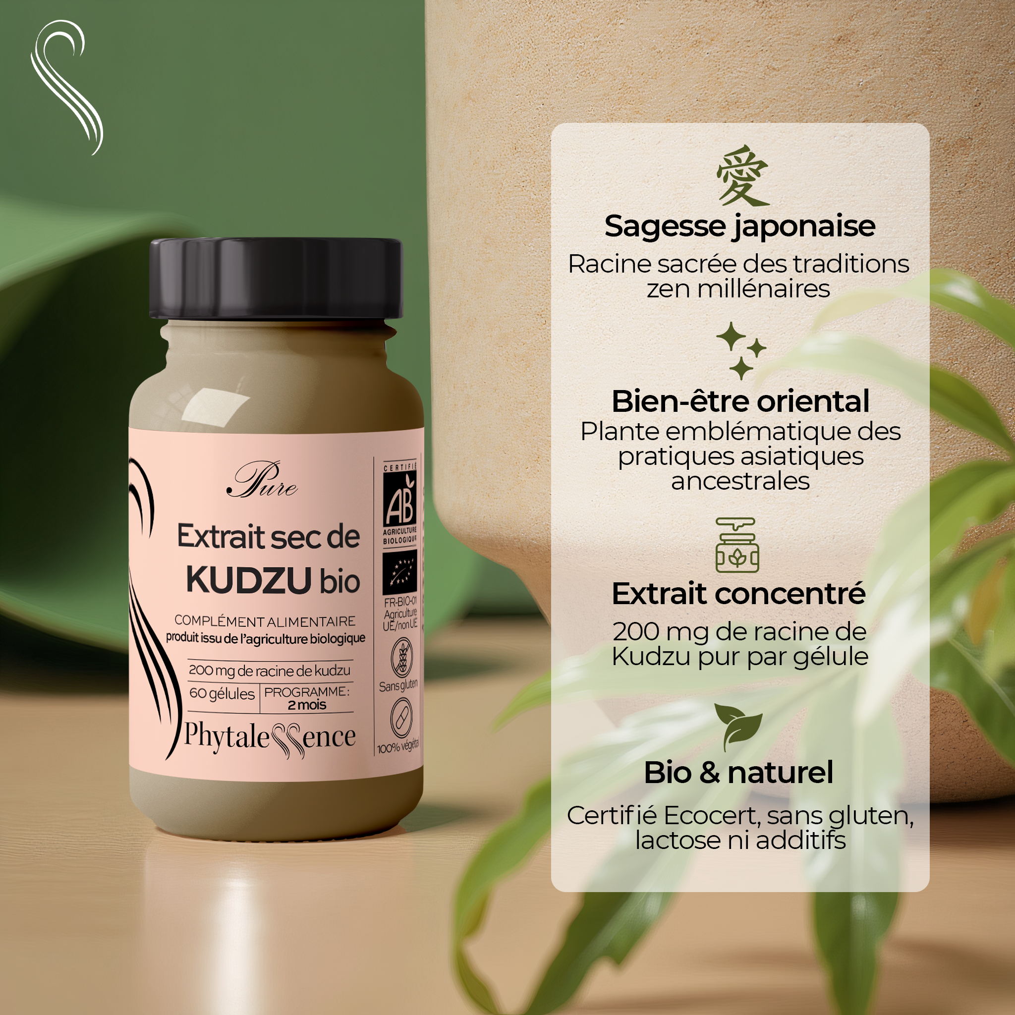 KUDZU - Mono plante Bio