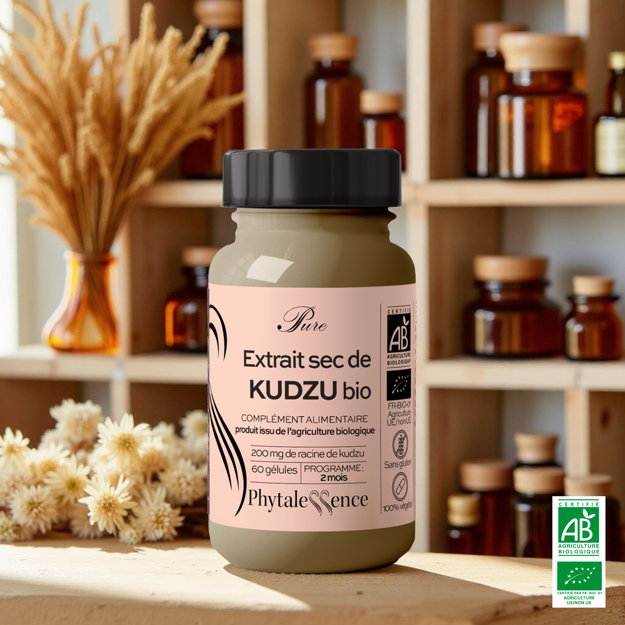 KUDZU - Mono plante Bio