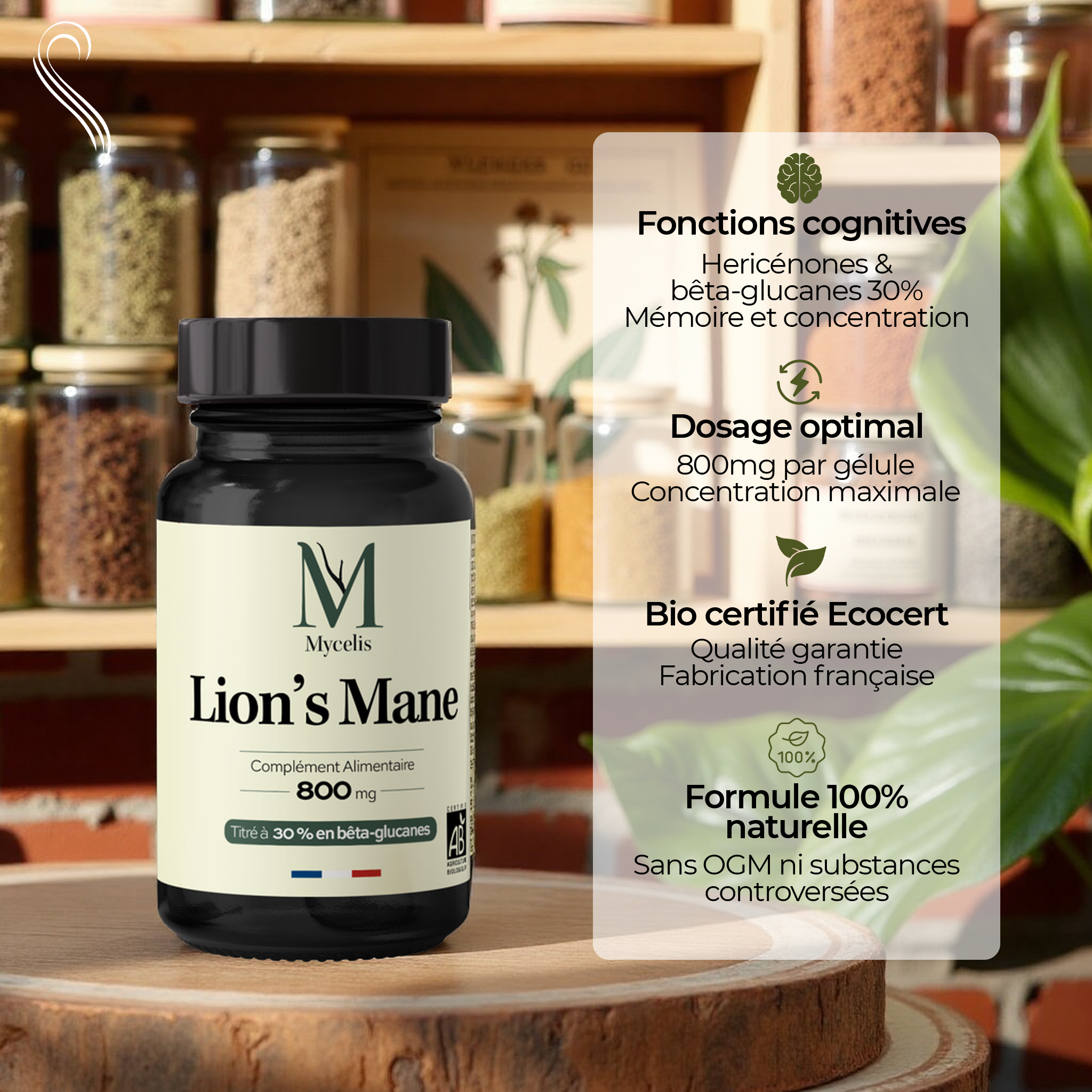 LION'S MANE - Champignon Bio