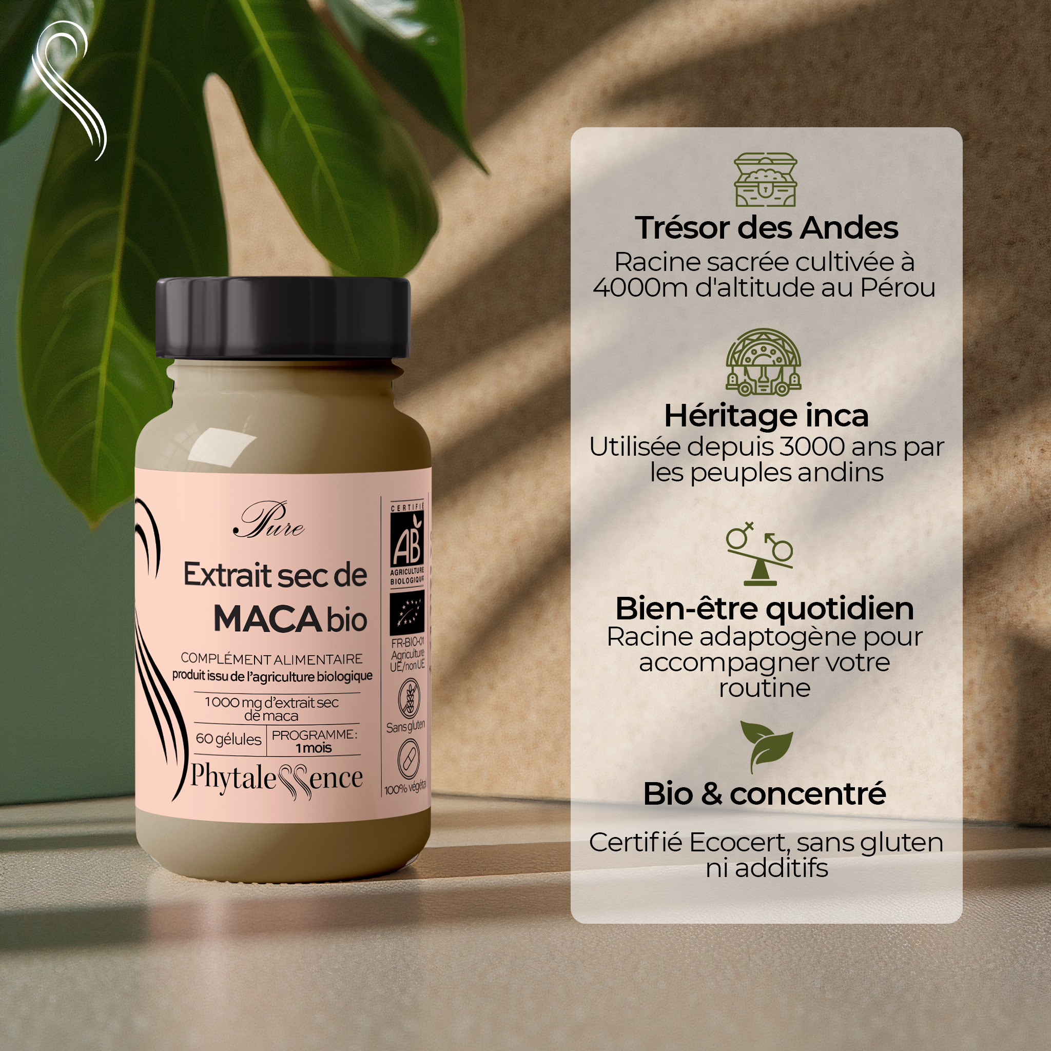 MACA - Mono plante Bio
