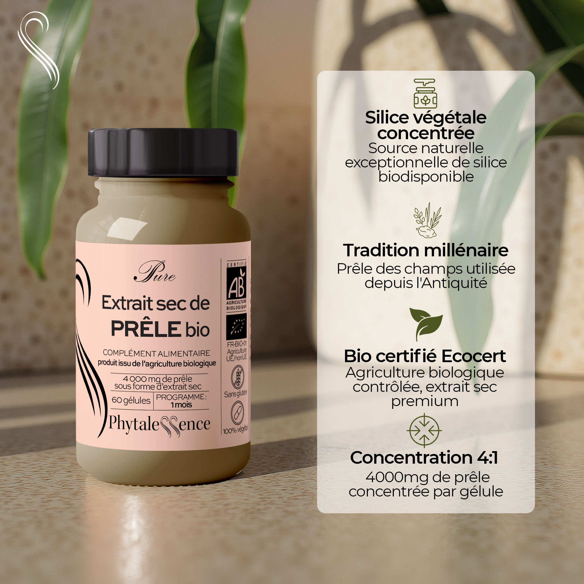 PRÊLE - Mono plante Bio