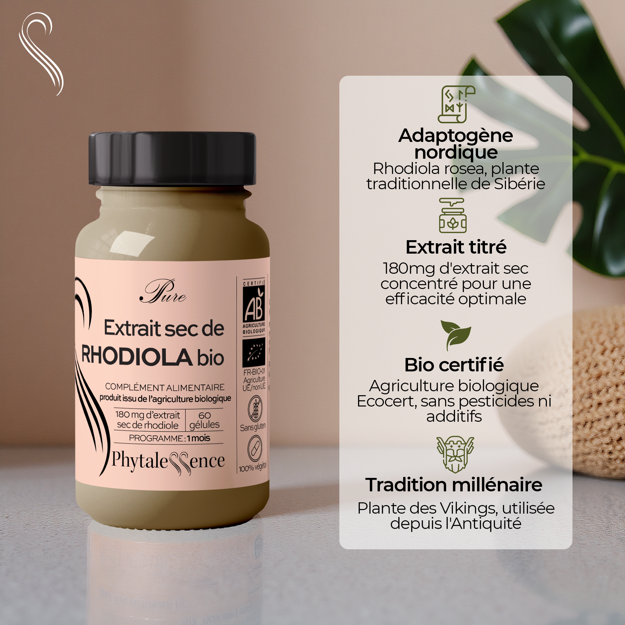 RHODIOLA - Mono plante Bio