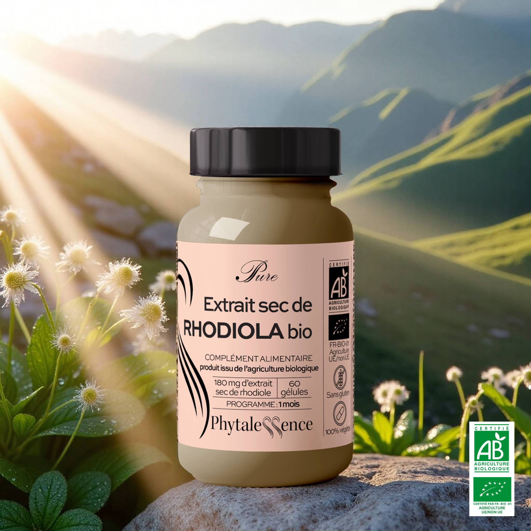 RHODIOLA - Mono plante Bio