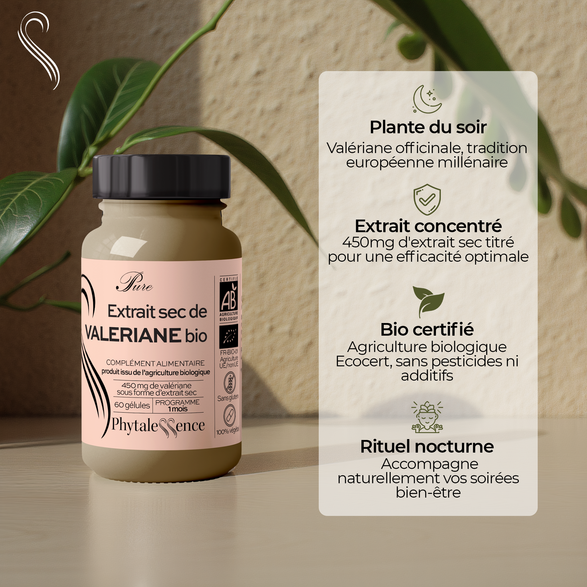 VALÉRIANE - Mono plante Bio