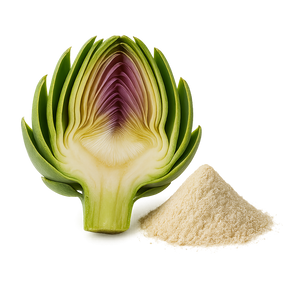 Artichaut (Cynara scolymus)
