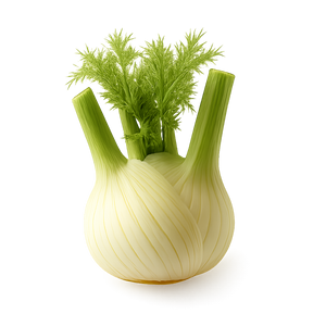 Fenouil