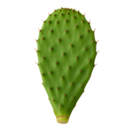 Nopal