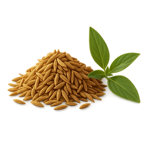 Cumin officinal (Cuminum cyminum)