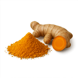Curcuma longa