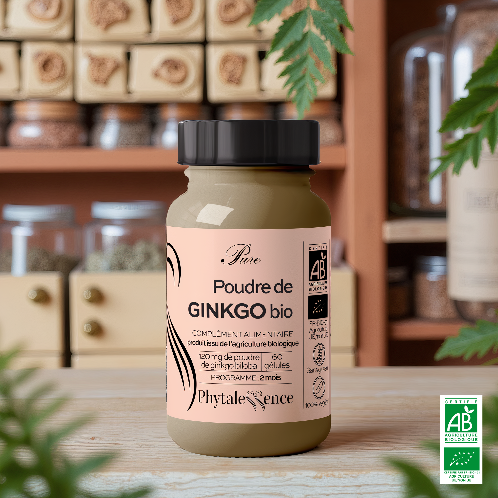 GINKGO - Mono plante Bio