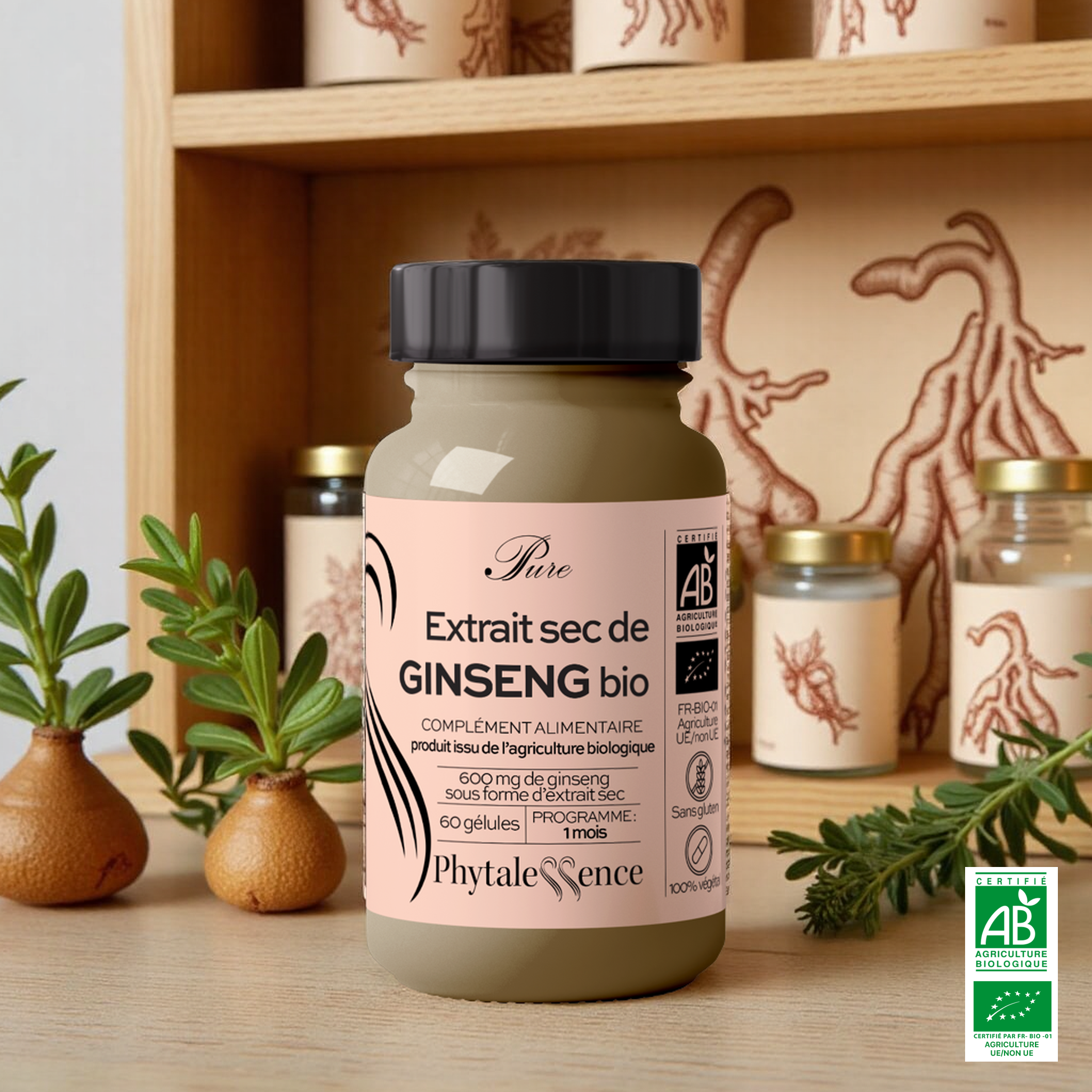 GINSENG - Mono plante Bio