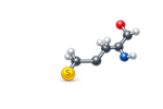 L-Cystéine