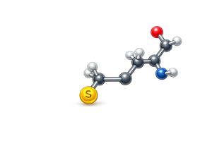 L-Cystéine