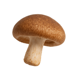 Lentinane