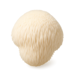 Érinacines et Héricénones