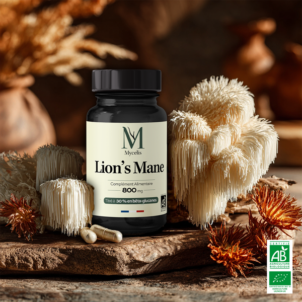 LION'S MANE - Champignon Bio