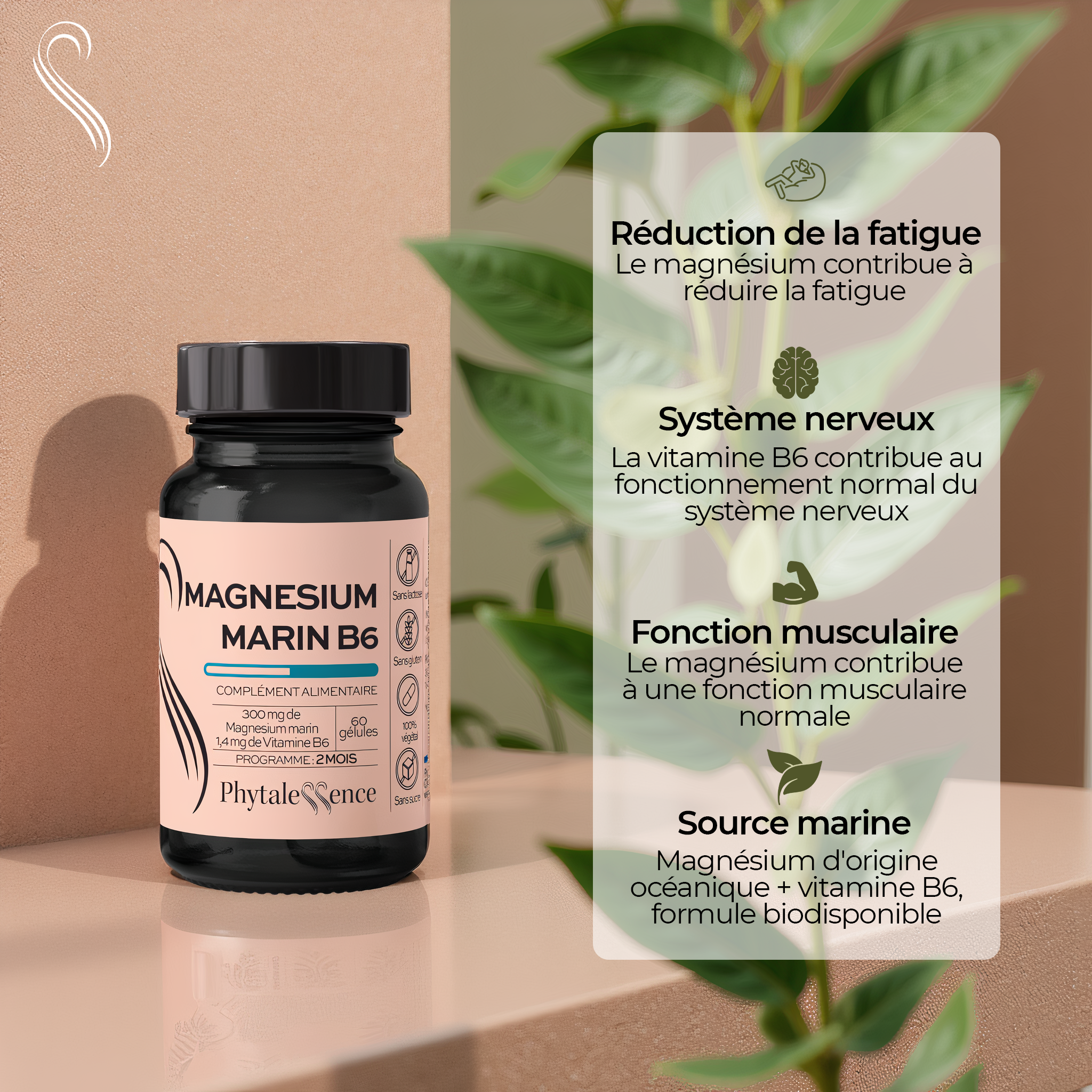 MAGNÉSIUM MARIN B6