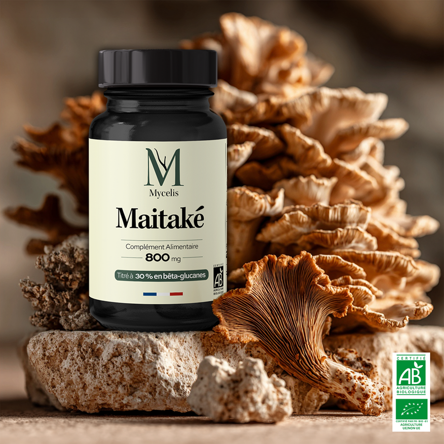 MAITAKÉ - Champignon Bio