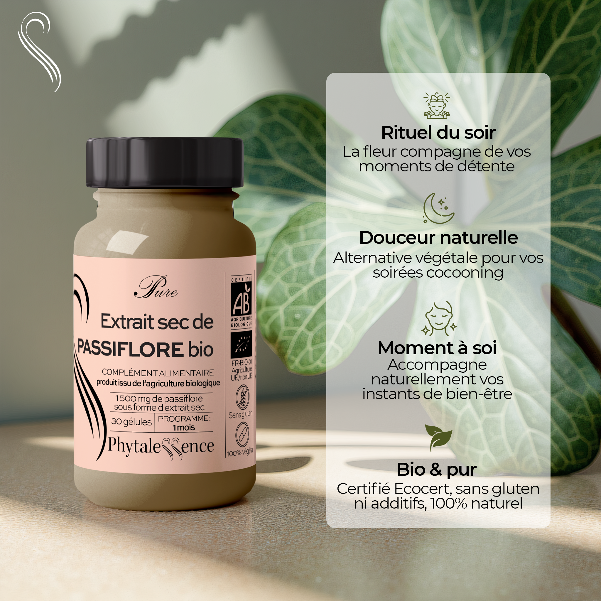 PASSIFLORE - Mono plante Bio