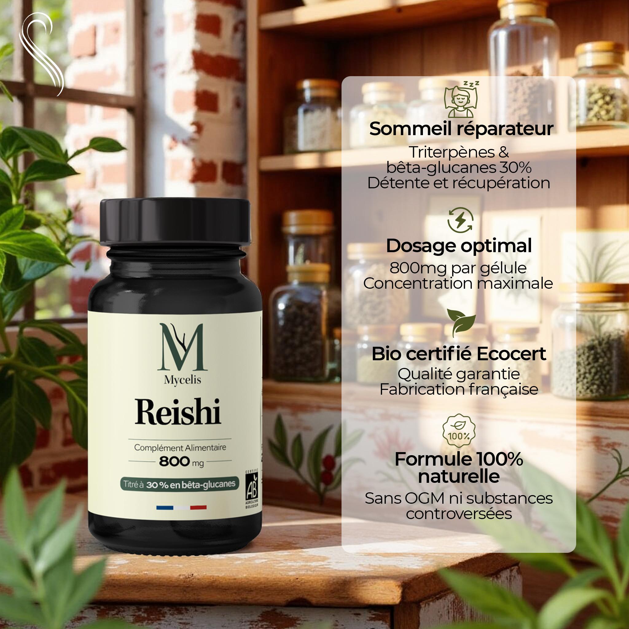 REISHI - Champignon Bio