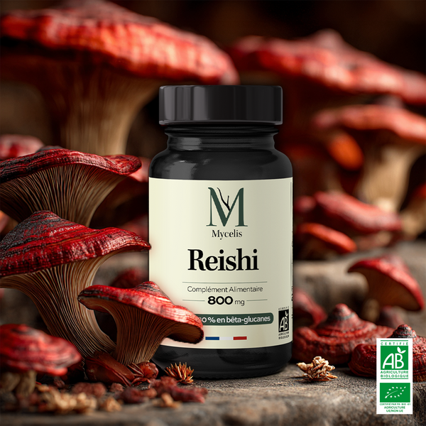REISHI - Champignon Bio