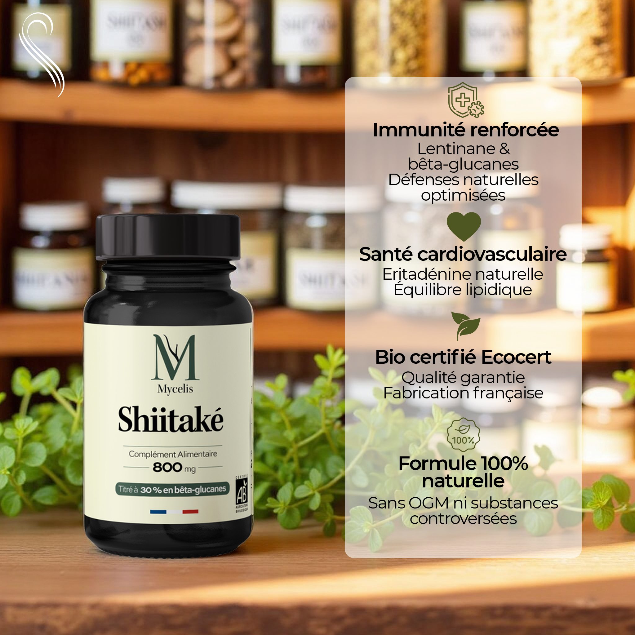 SHIITAKÉ - Champignon Bio