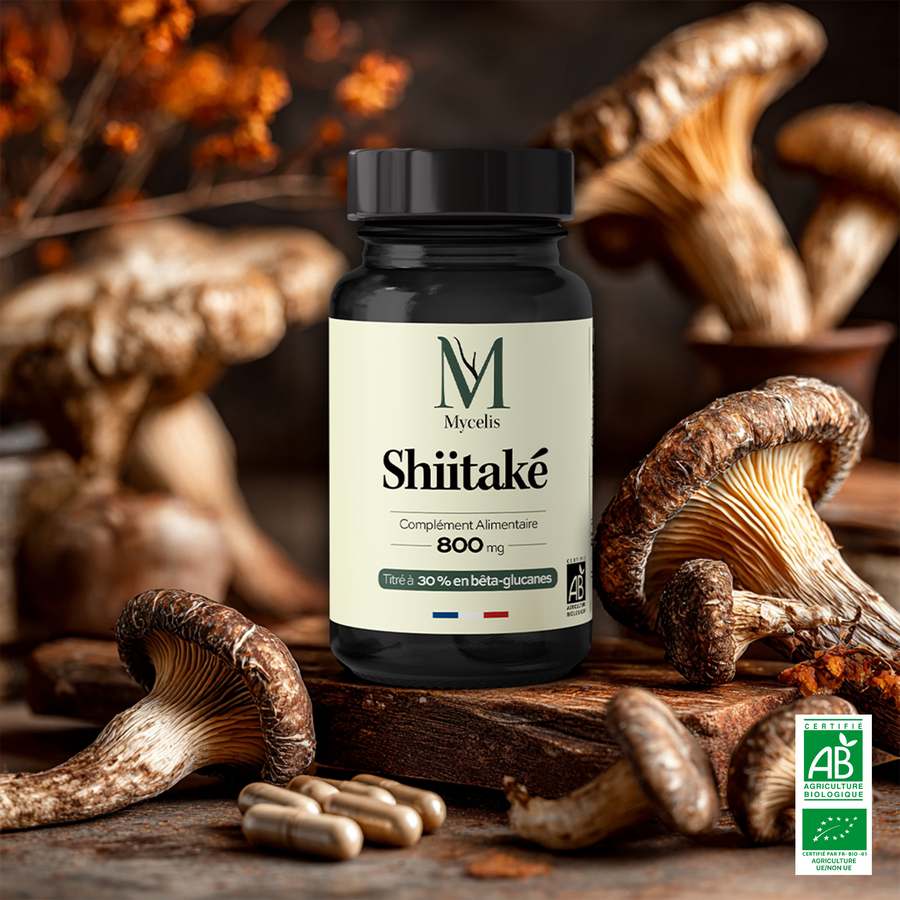 SHIITAKÉ - Champignon Bio
