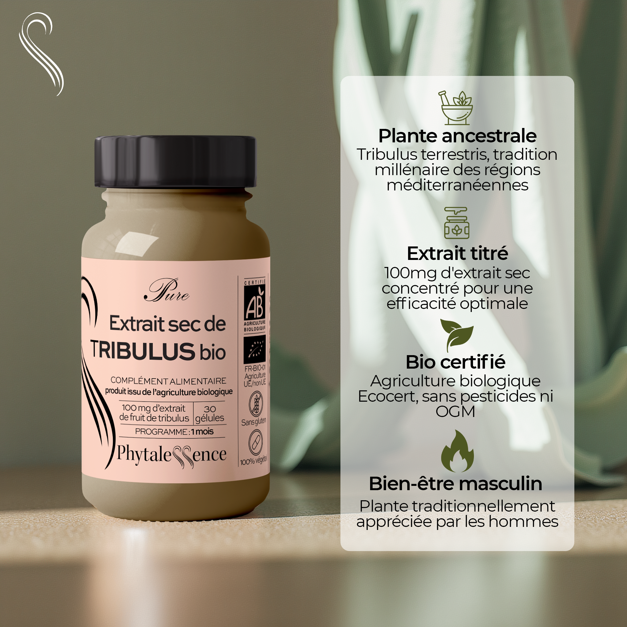 TRIBULUS - Mono plante Bio