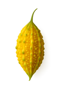 Melón amargo