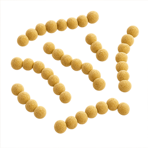 Streptococcus thermophilus