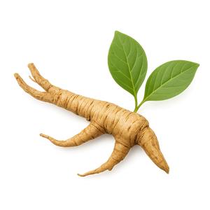Rhodiola