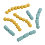 Lactobacillus acidophilus & reuteri