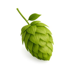 Houblon