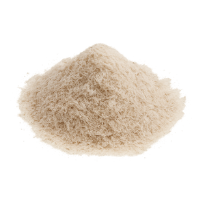 Ispaghul