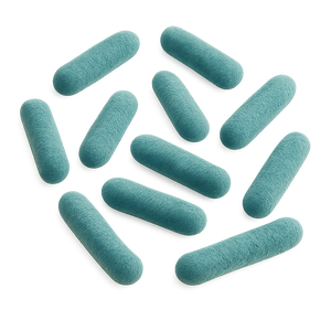 Lactobacillus acidophilus